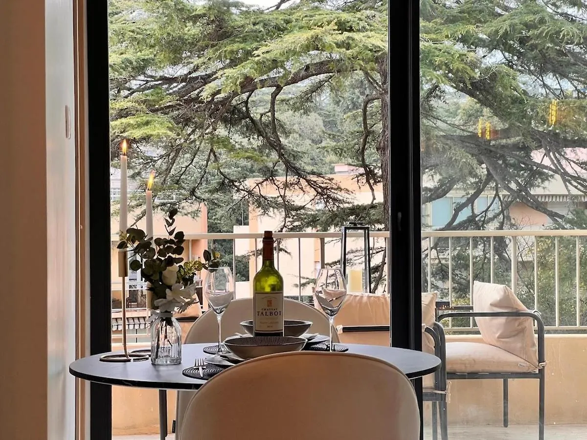 Luxury Appartment With Terrasse And Side Sea View Cannes Apartment