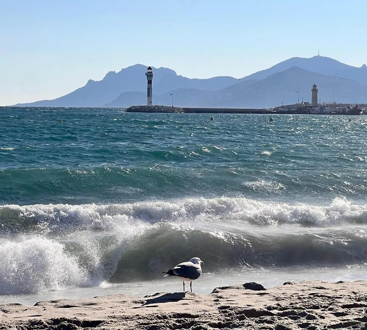 Apartment Luxury Appartment With Terrasse And Side Sea View Cannes
